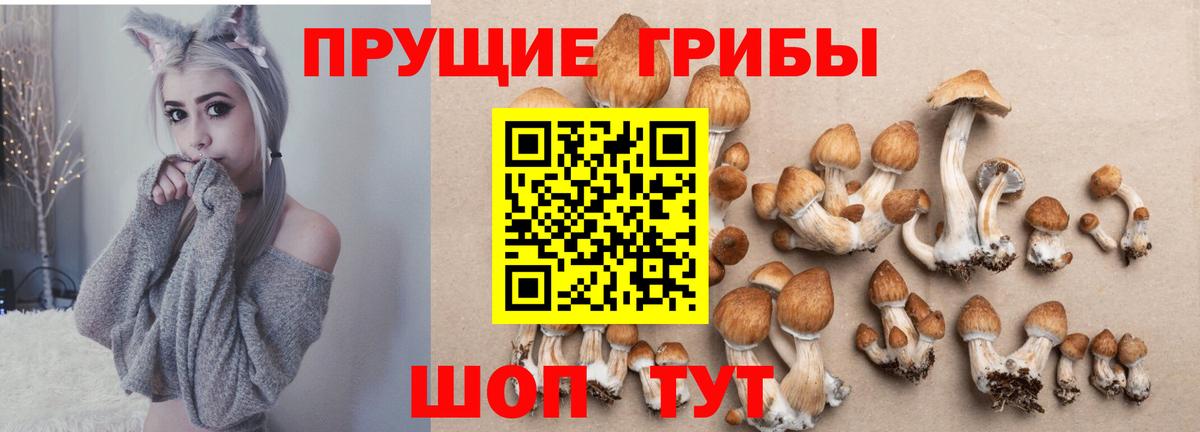 Псилоцибиновые грибы прущие грибы  Вход с VPN  Уссурийск 